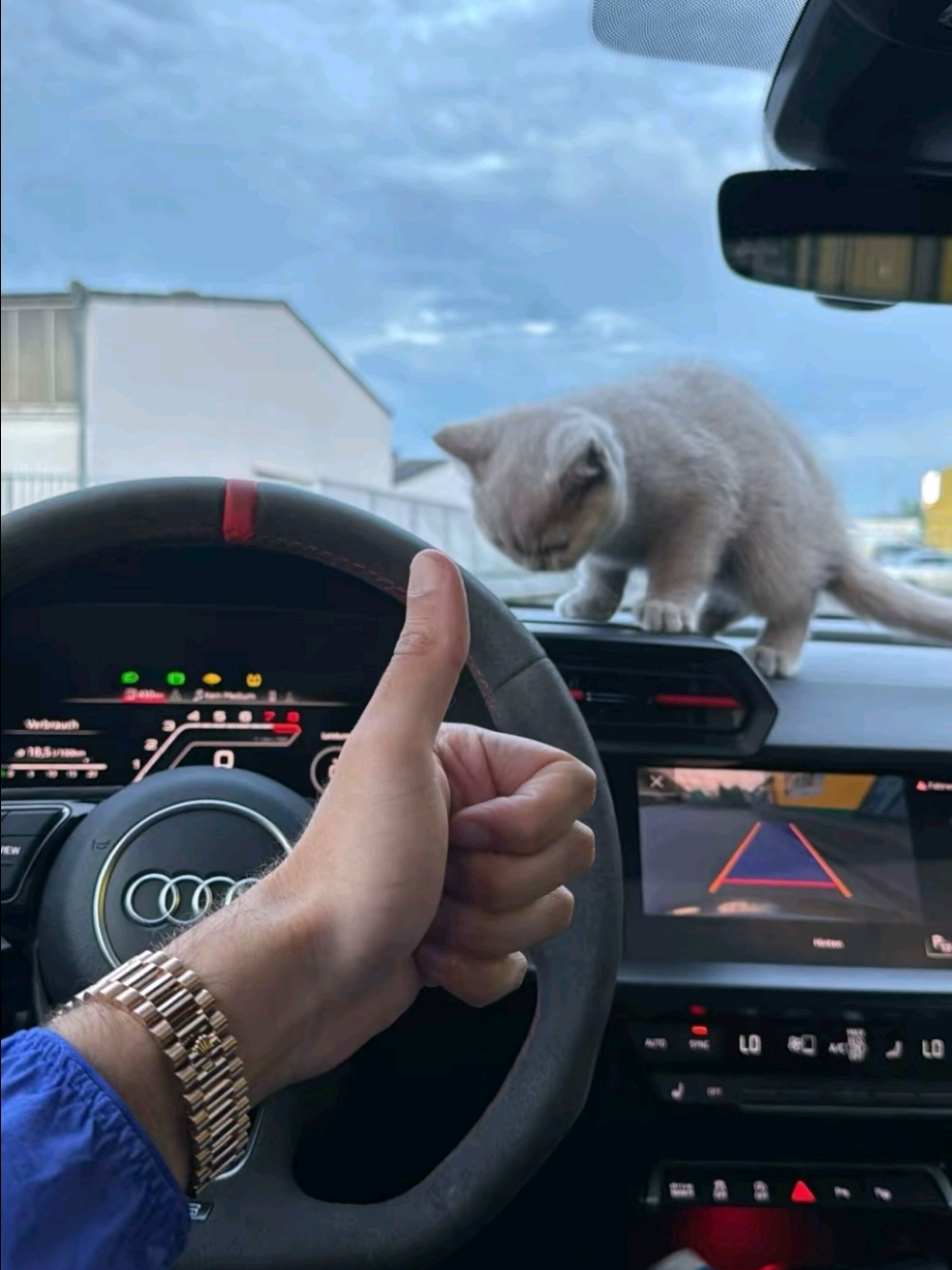 @𝐛𝙤𝐛𝙗𝐲𝙨𝐛𝙚𝐛𝙞𝐢