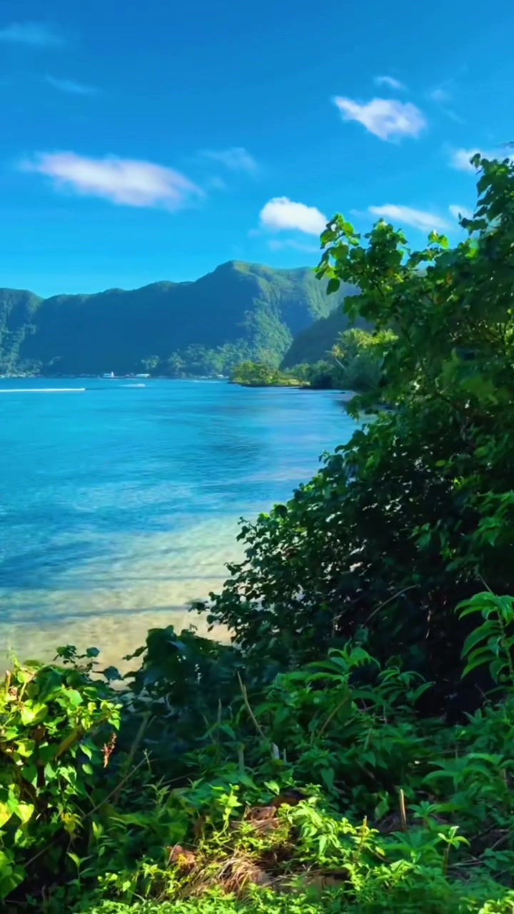 @kynglele415🇦🇸🇼🇸