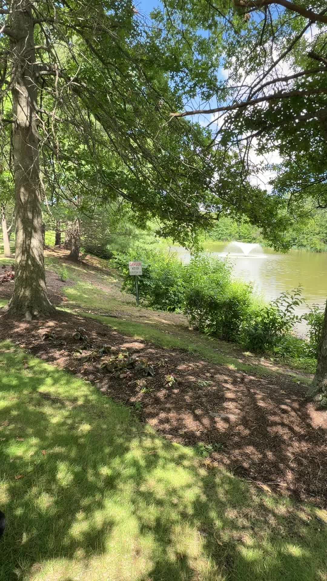 @Shanti ﾒ𝟶