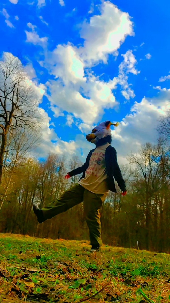 @silly doggo | @