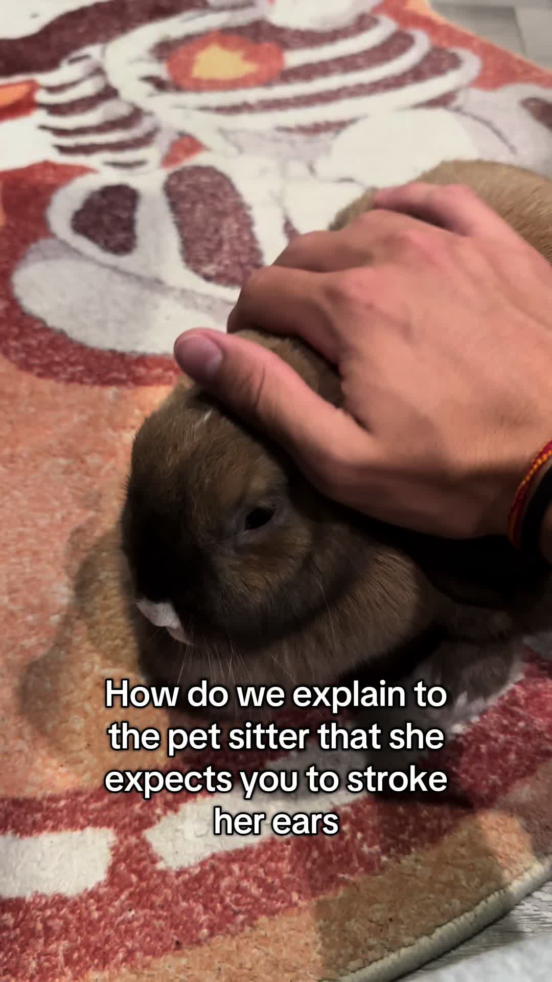 @honeythebunny24