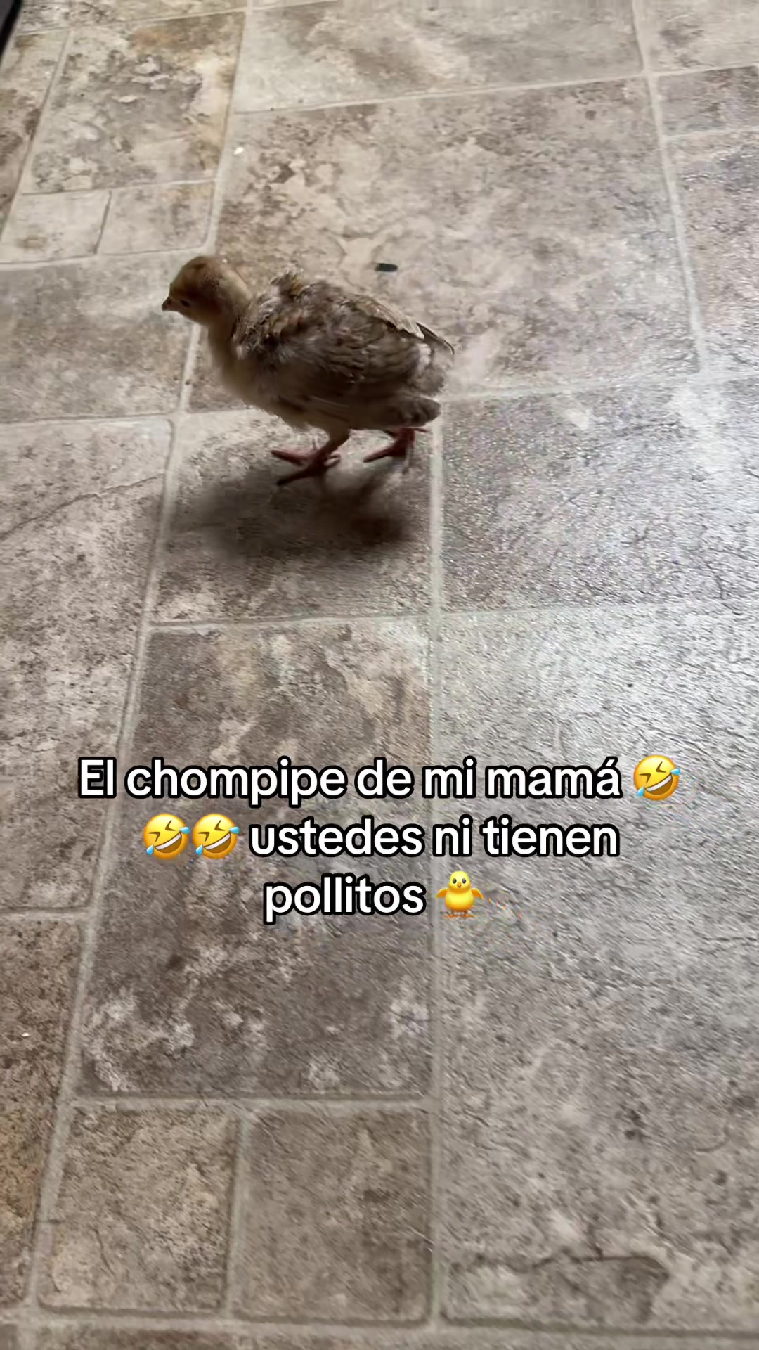 @Yoly Mar