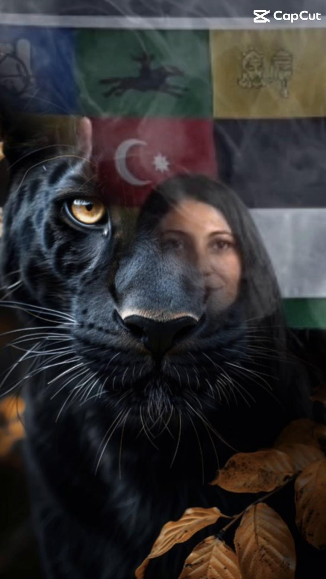 @🇹🇷1453🐺🇹🇷Stgt🇹🇷50🇹🇷