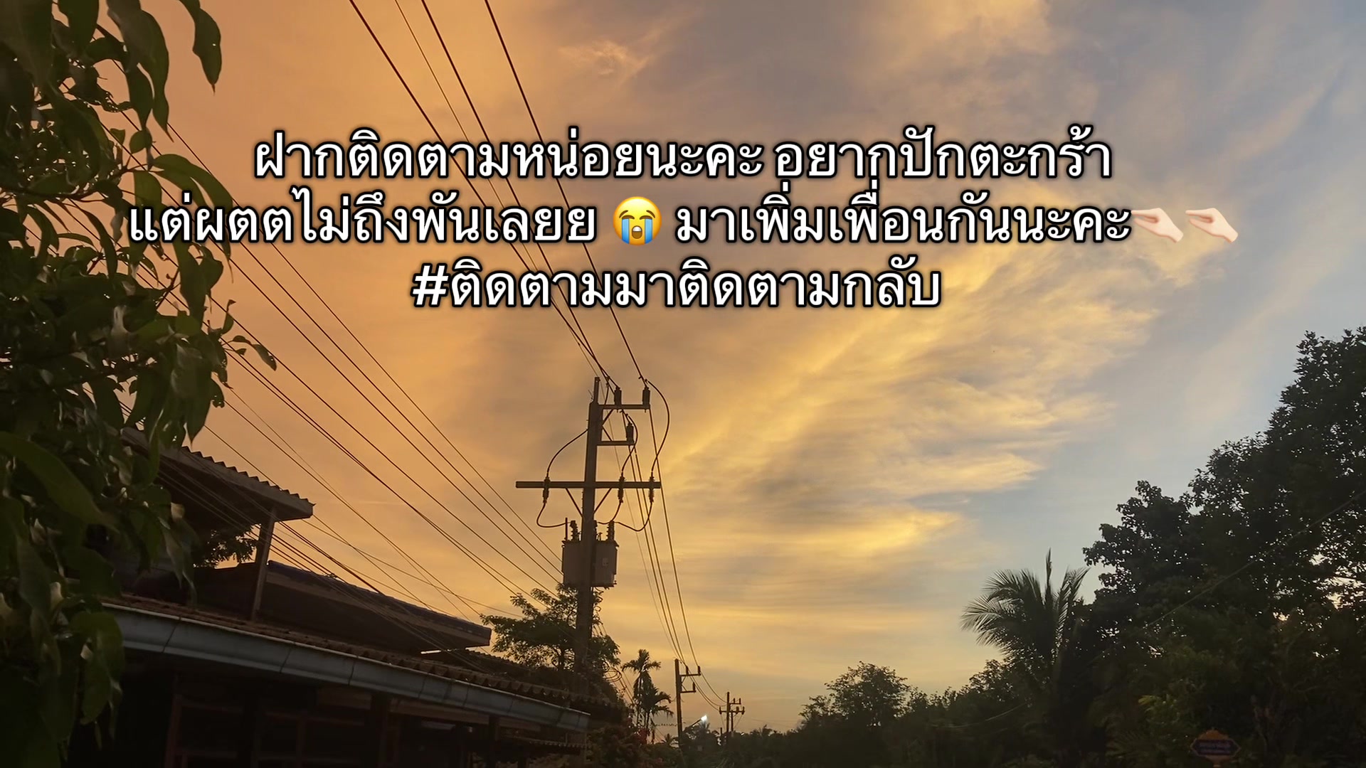 @bunny 🐰