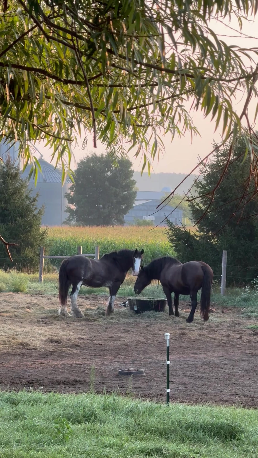 @Safe Place Pastures, Inc.