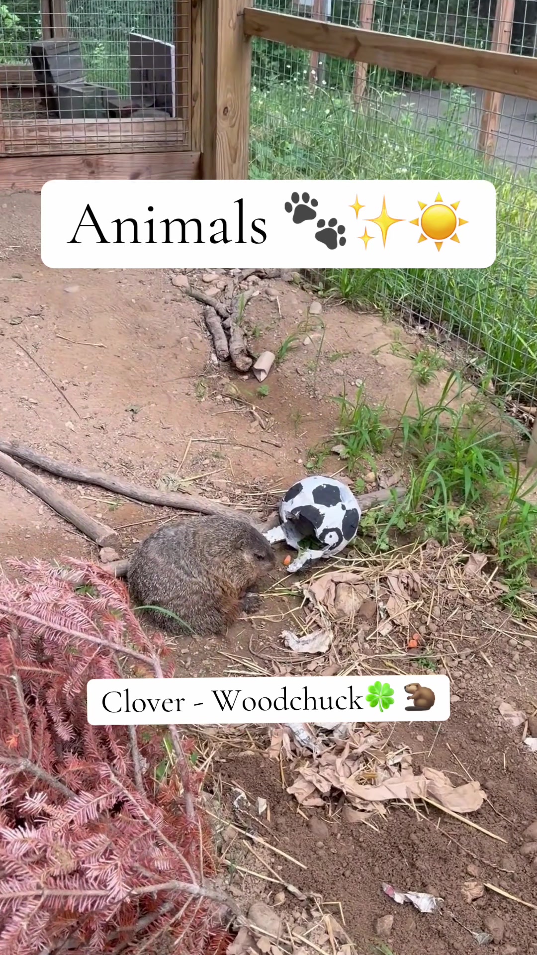 @HowellNatureCenter