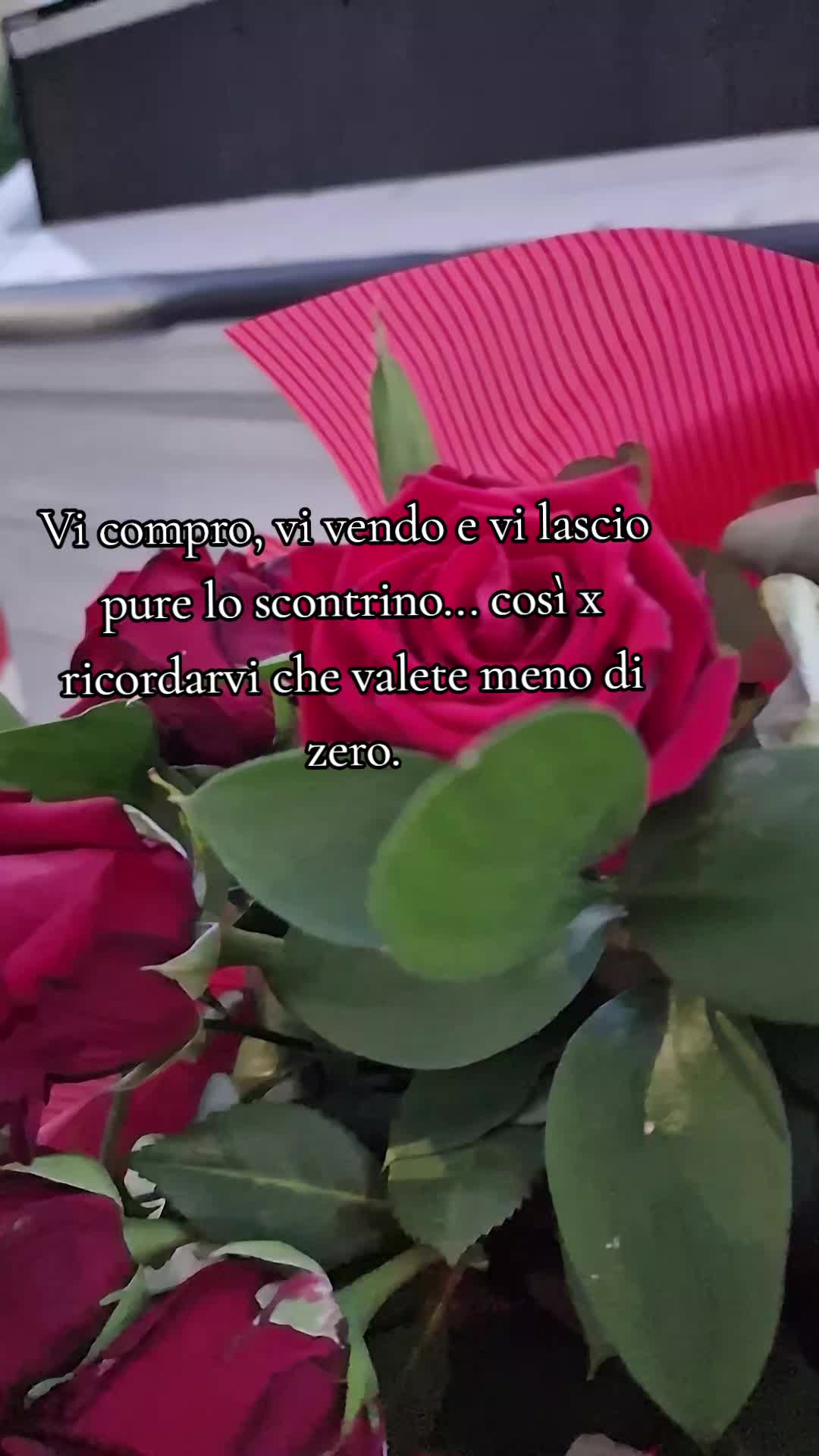 @Gnocca79