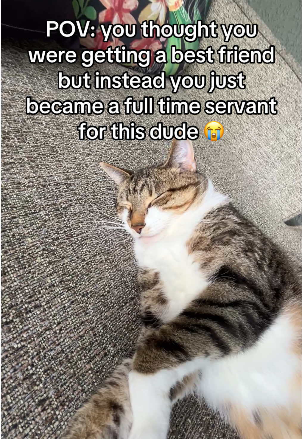 @Stormy & Sunny