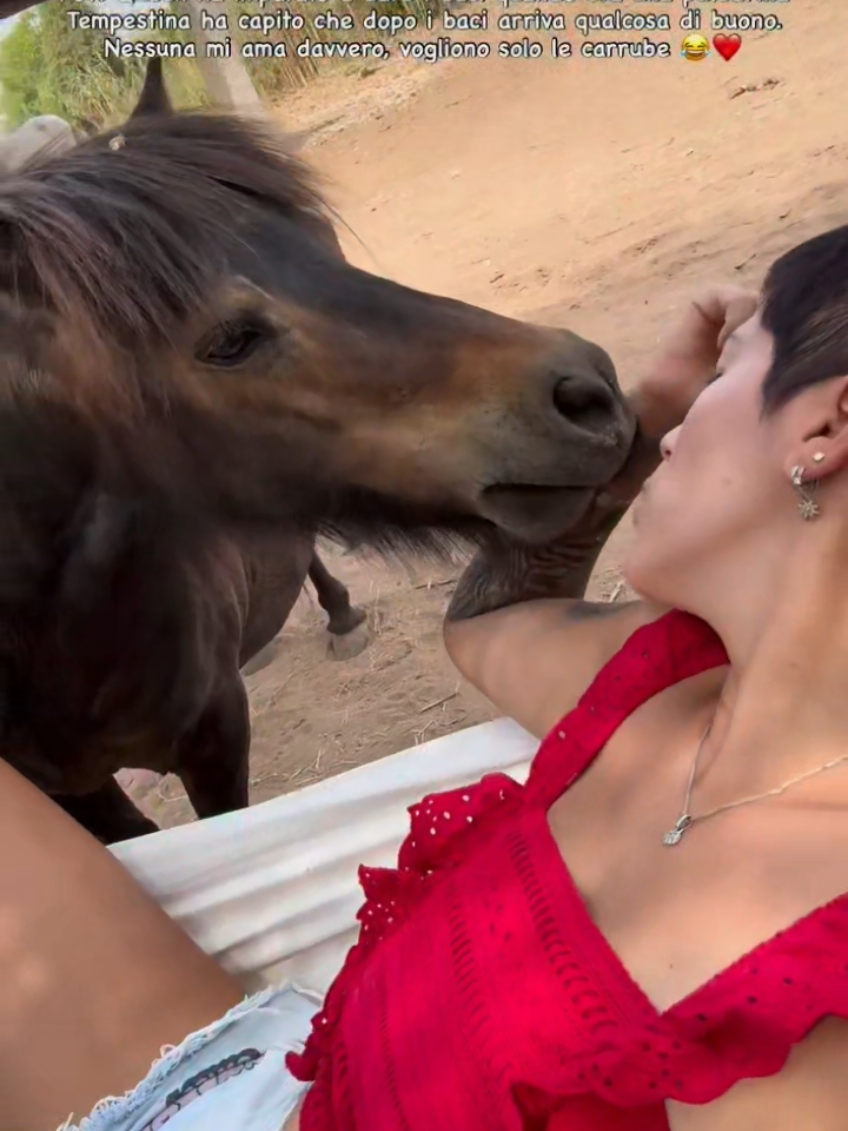 @streamhorse