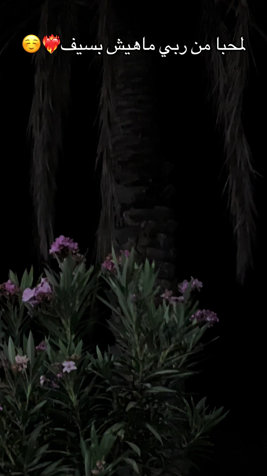 @𝙈𝙖𝙢𝙤𝙪𝙣 𝘽𝙤𝙪𝙖𝙧𝙤𝙙𝙟