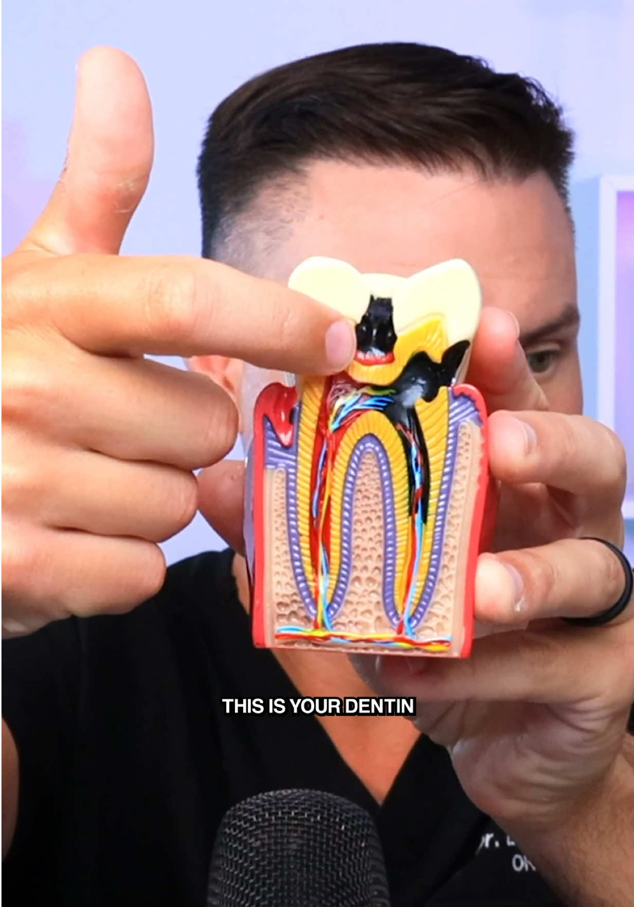 @Thebentist