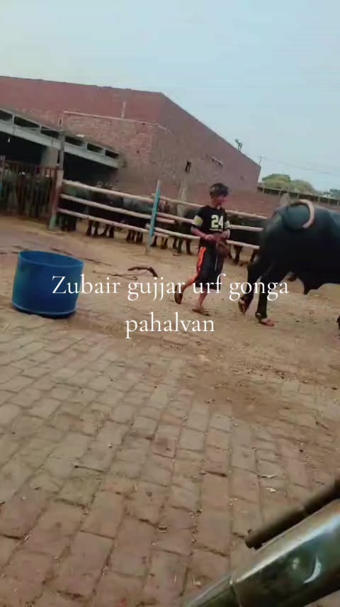 @rehmatgujjar