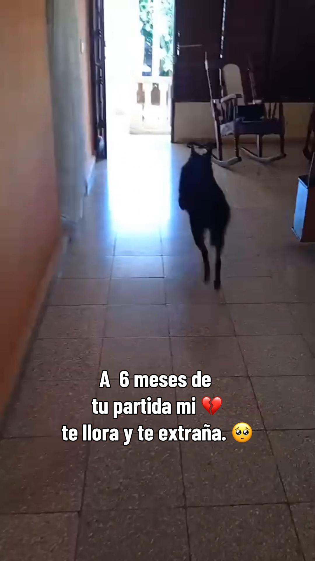 @anabelllopezrodri