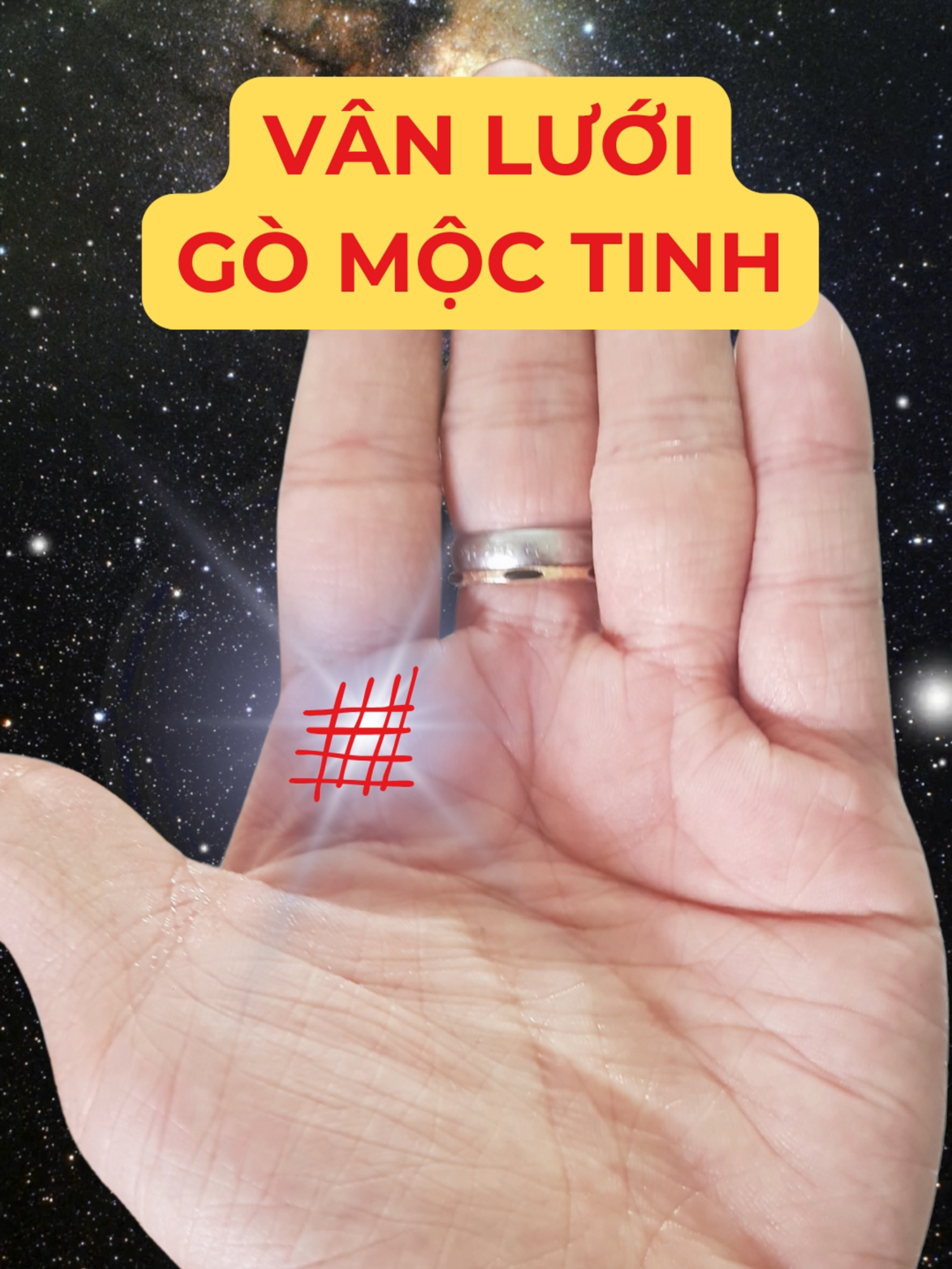 @Học Xem Chỉ Tay