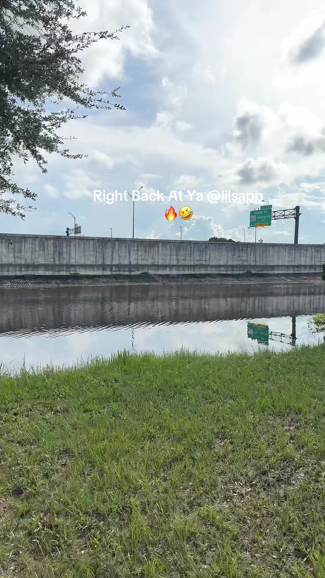 @777Solo🦅