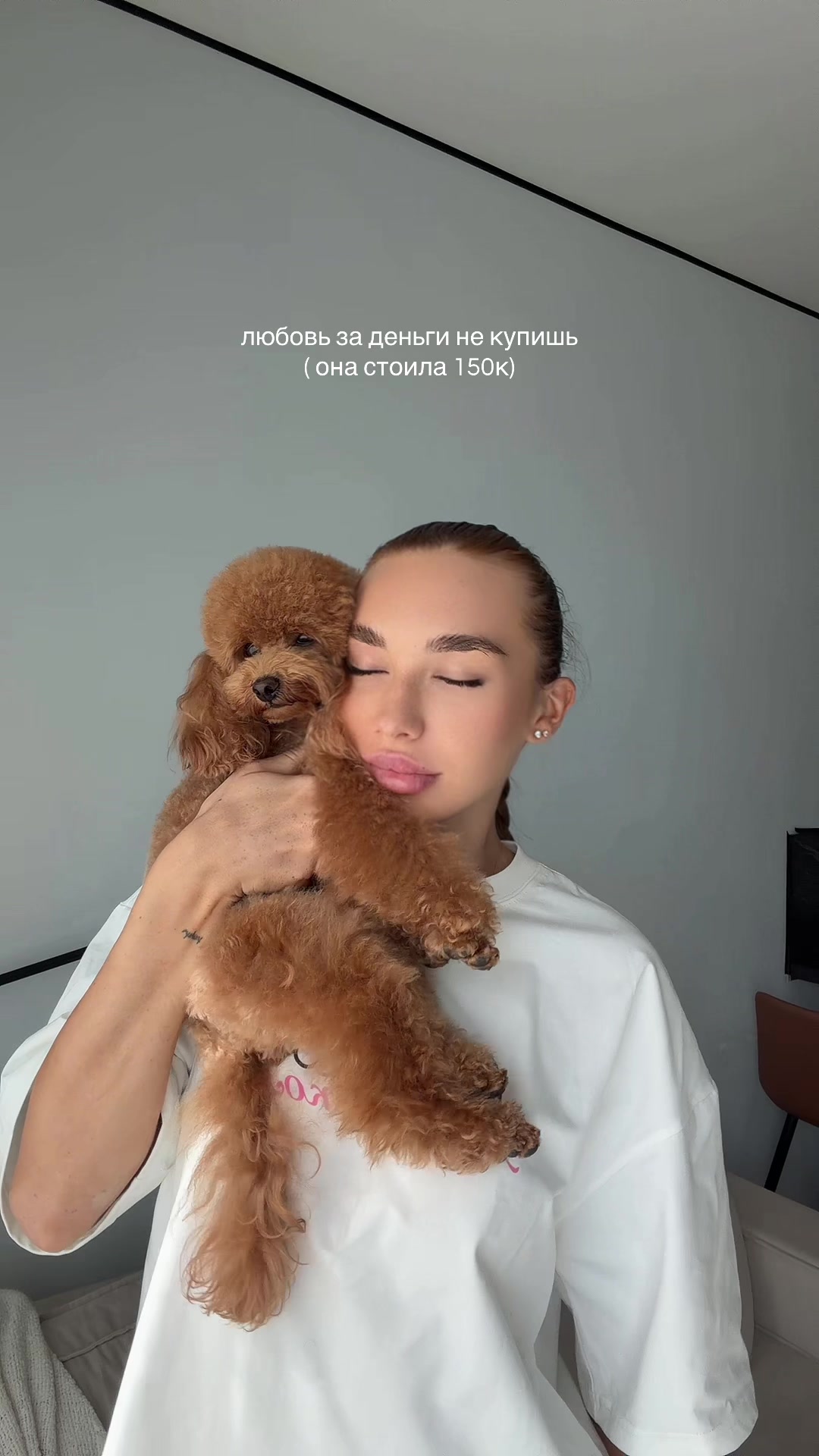 @beatrice_poodle