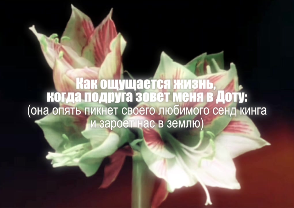 @Seriks