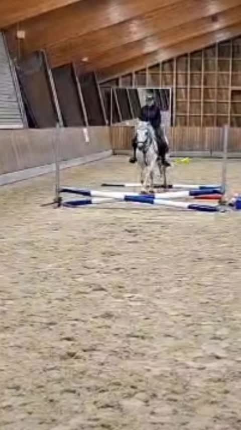 @the fanny's ranch (nsps)