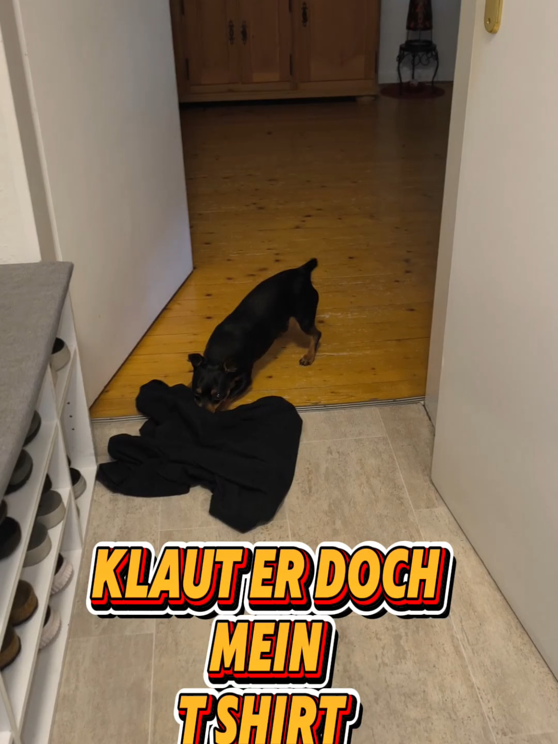 @ICH BIN'S