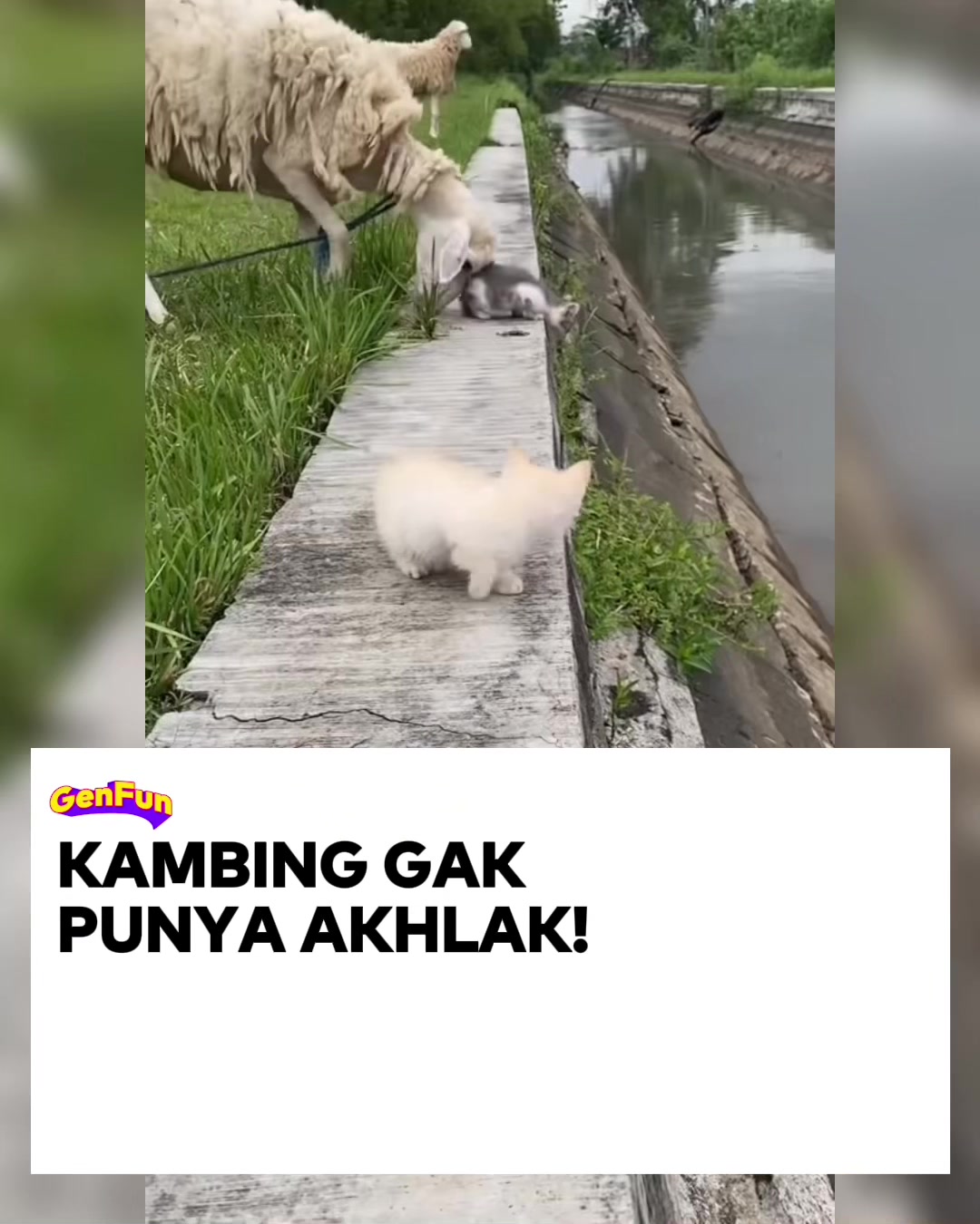 @GenFun