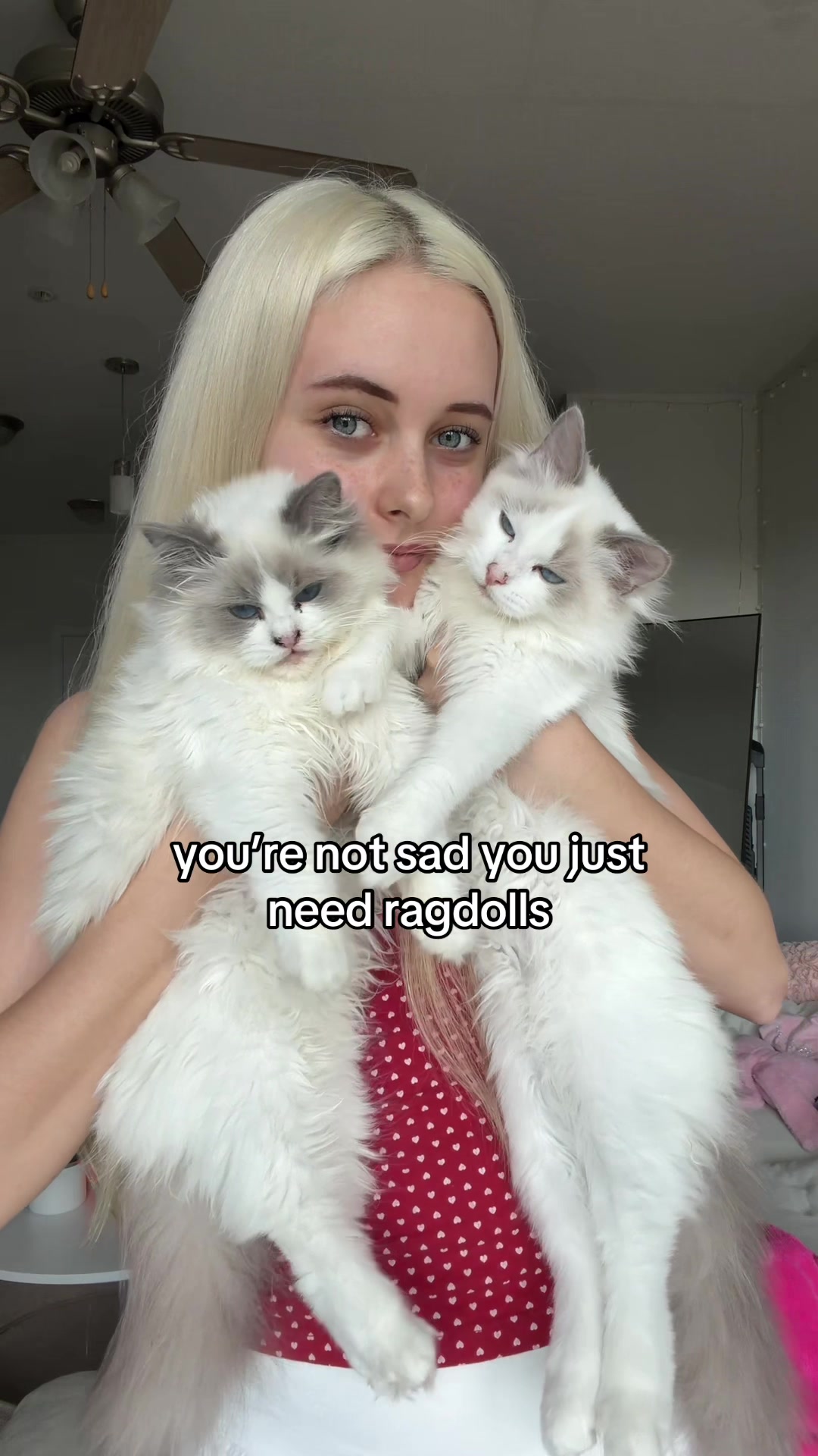 @mrsnatashkatax