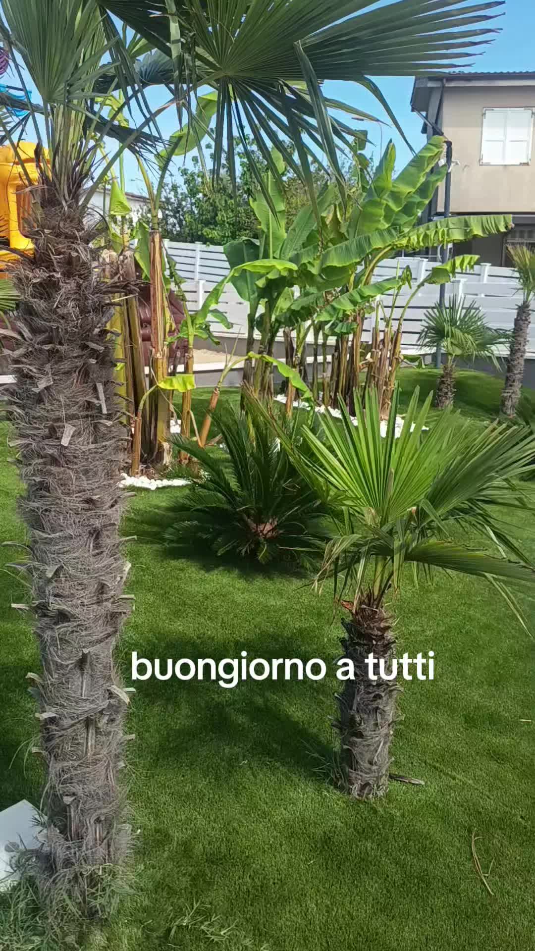 @unico e solo