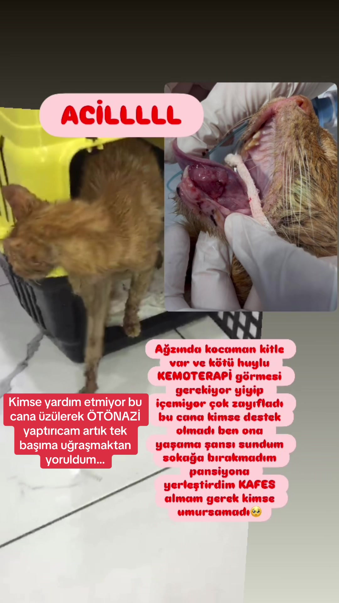 @Yesiminpatileri61