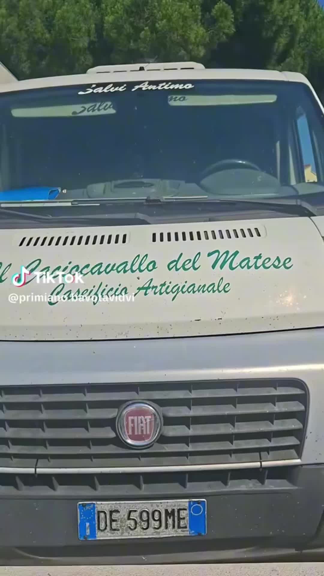 @Andrea D'Andrea