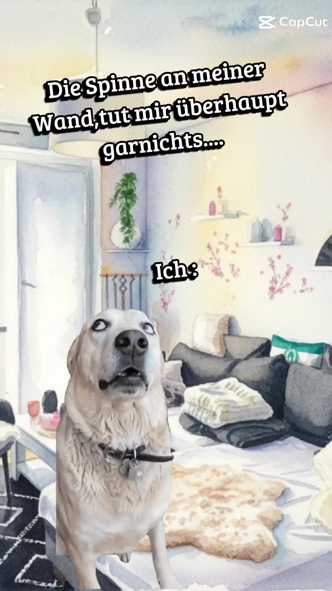 @๐ธ๐๐ธBLü๐ธMel๐ธein๐ธ๐๐ธ