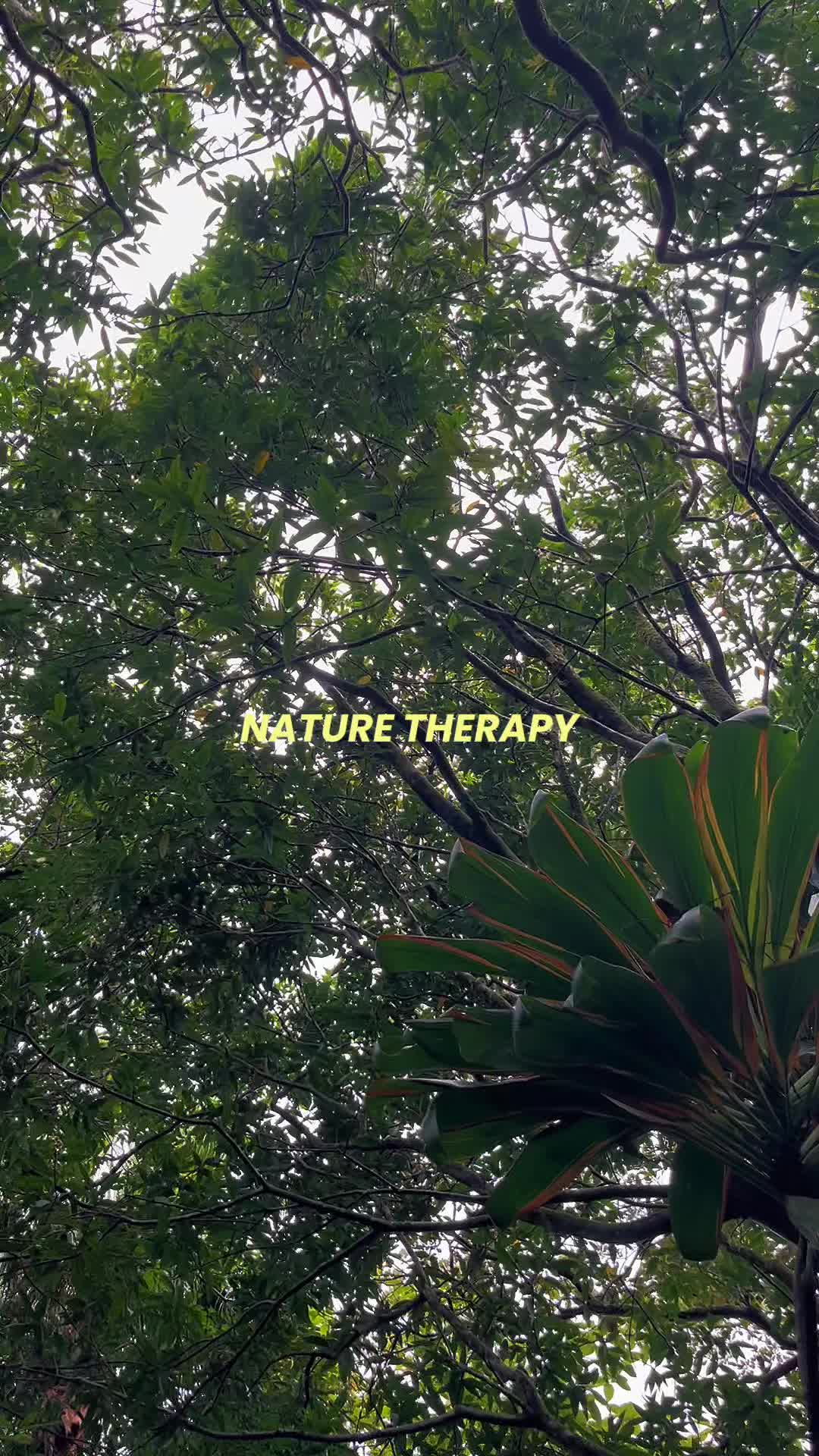 @Vall&eacute; Advenature Park