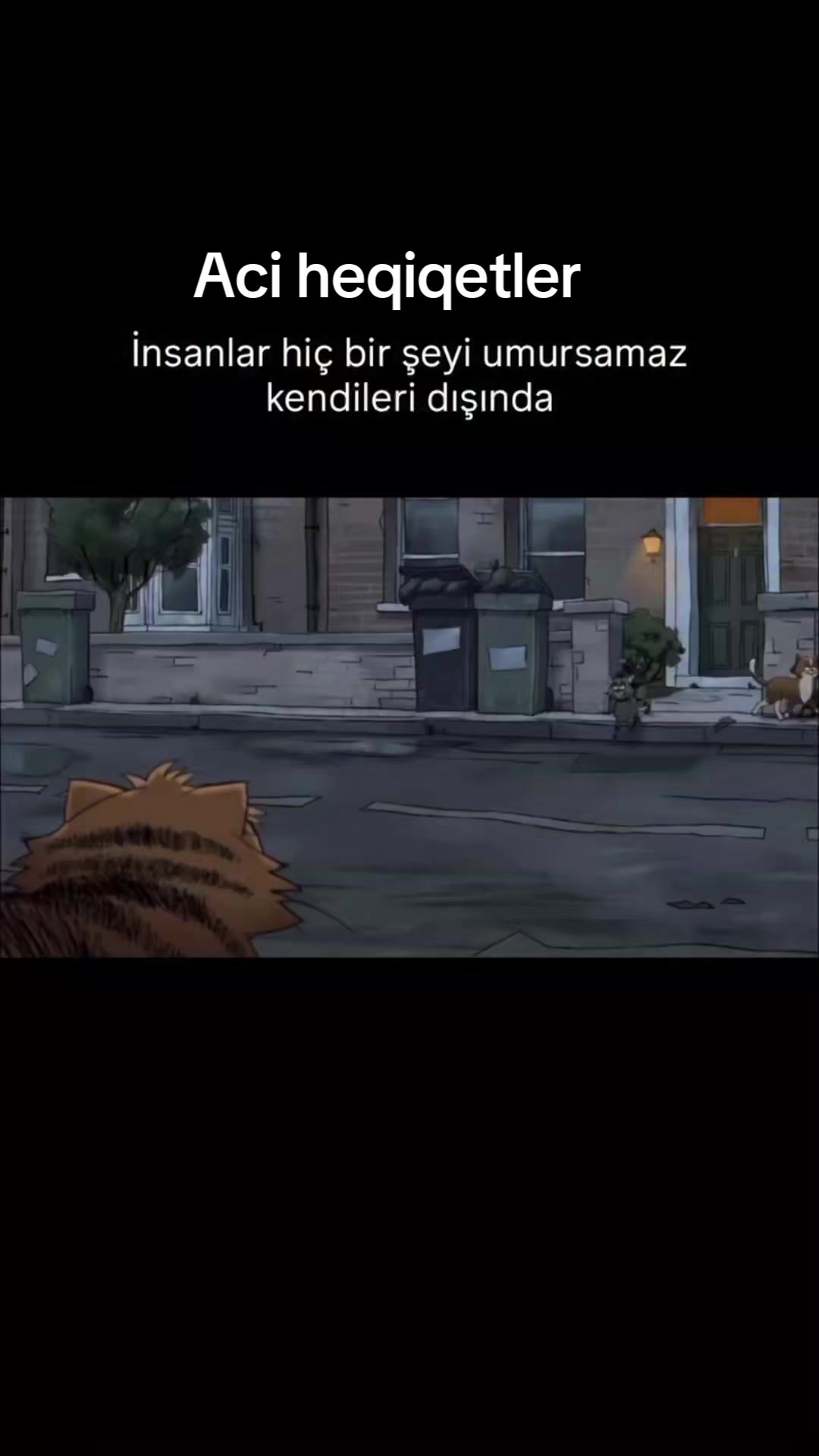 @Togrul