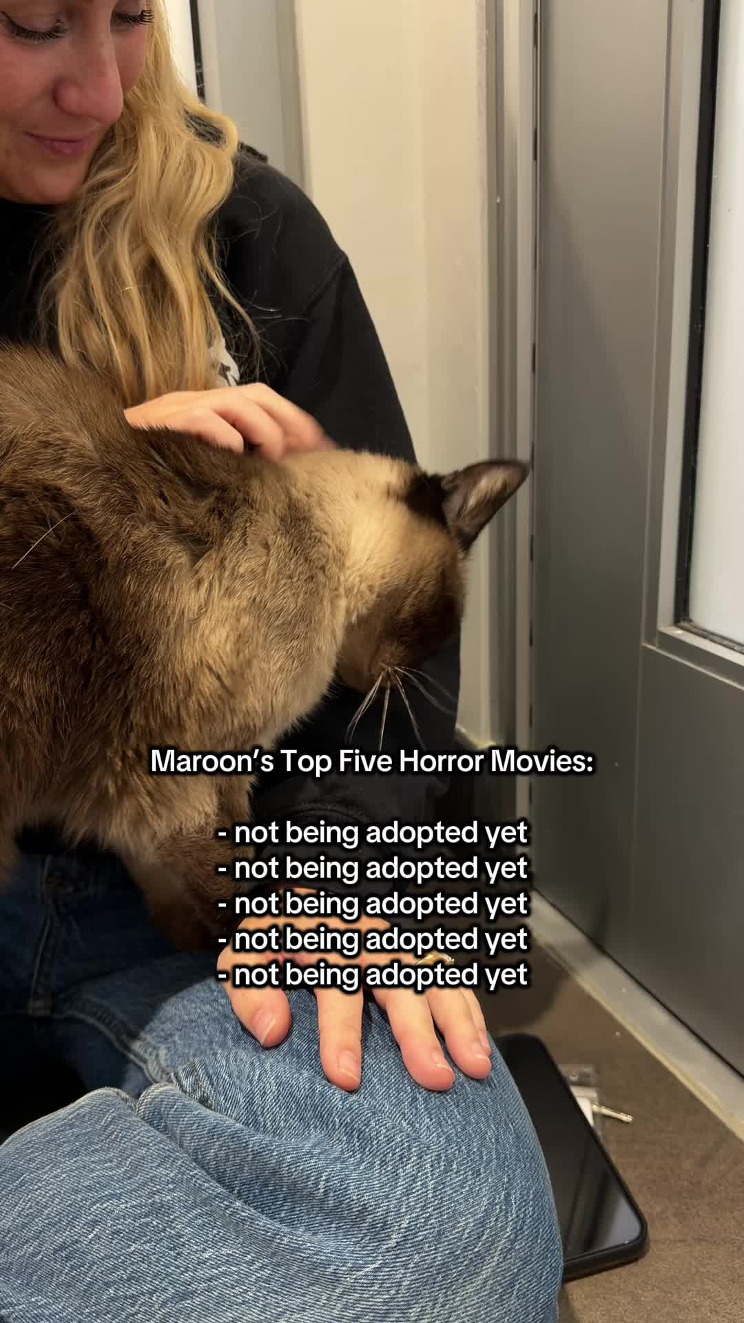 @San Diego Humane Society
