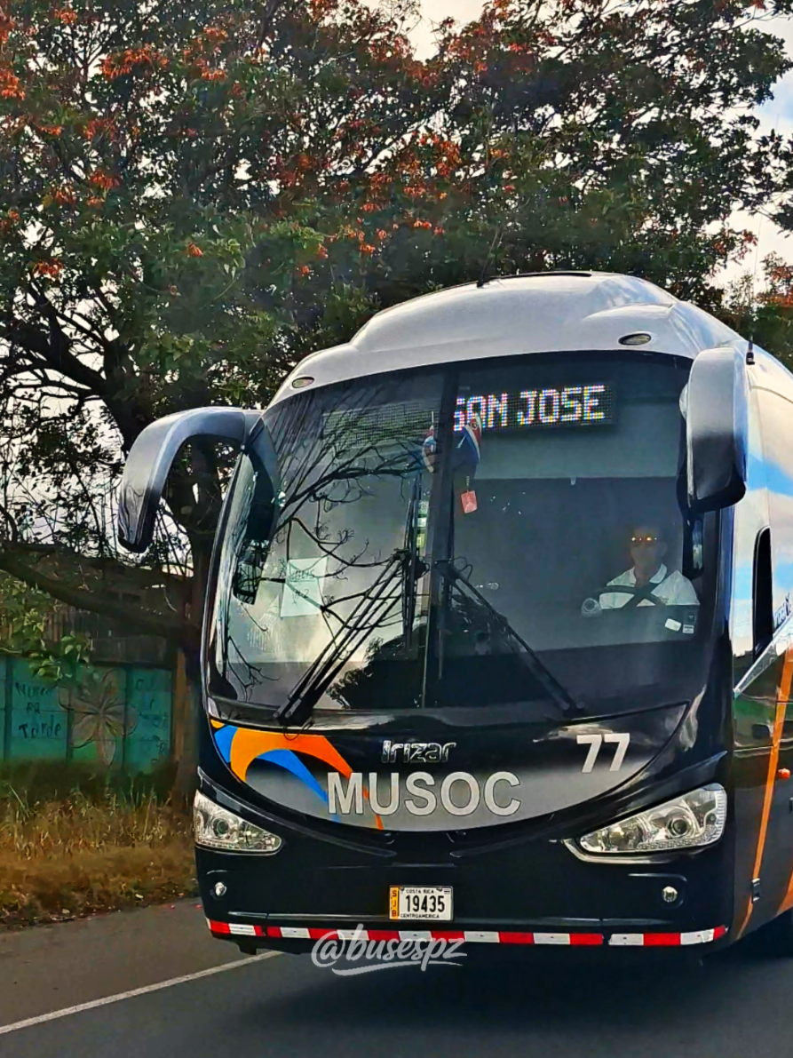@BUSES PZ | BPZ