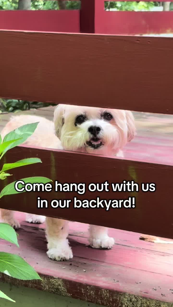 @LittleLuna.and.Lola