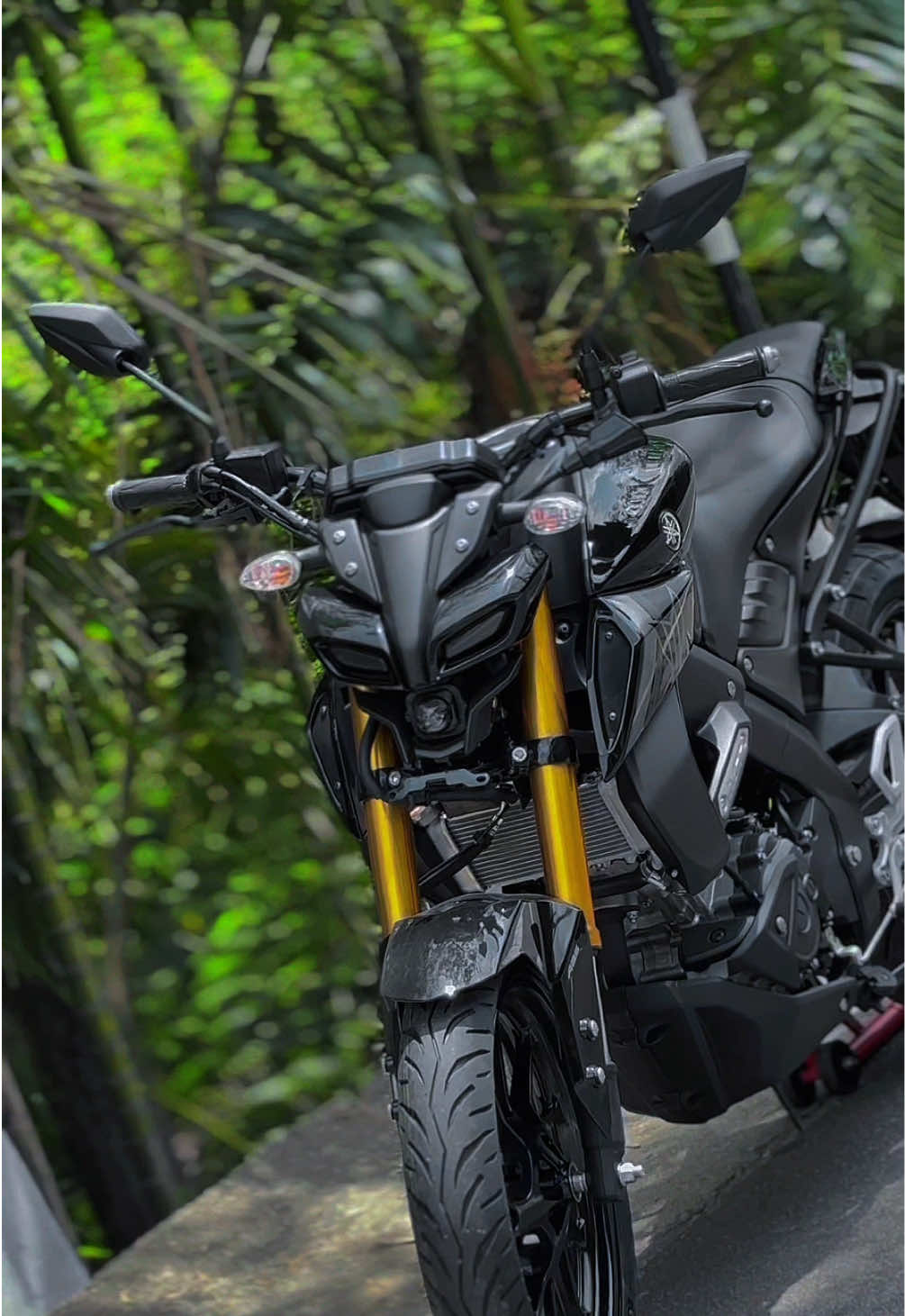 @Ashen Yamaha 🇱🇰