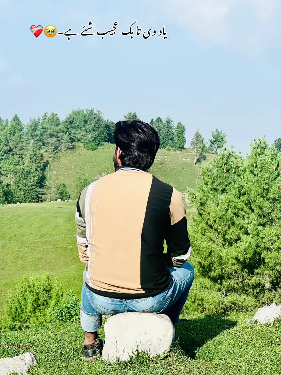 @Ahsankhan Bhutta 🥀