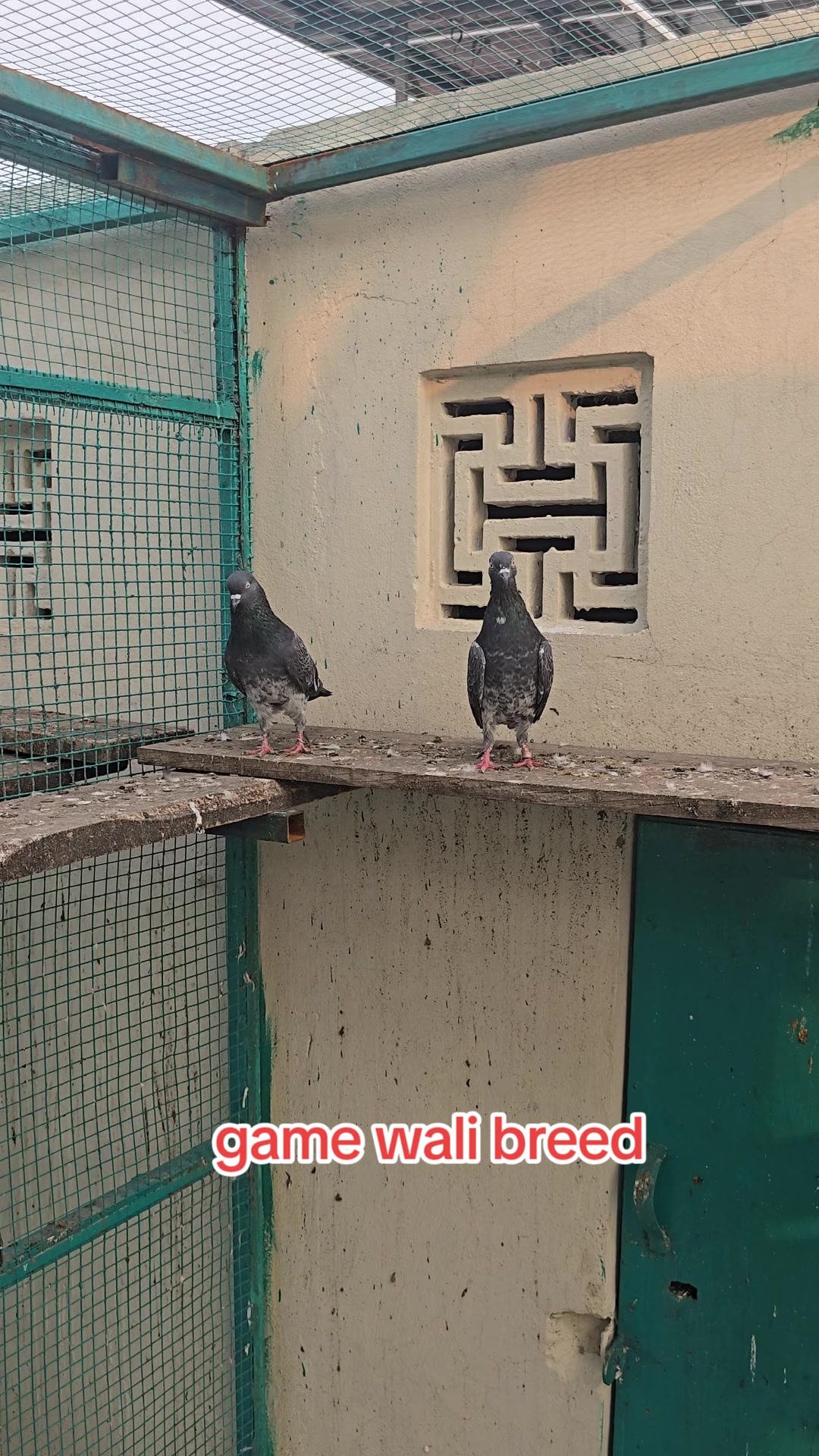 @Malik Mohkam Khokhar