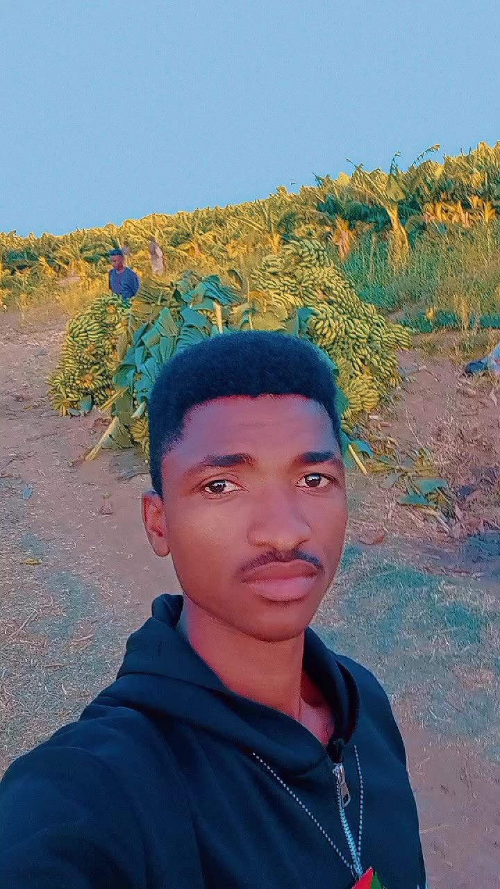 @حامدشعيب ودشمار