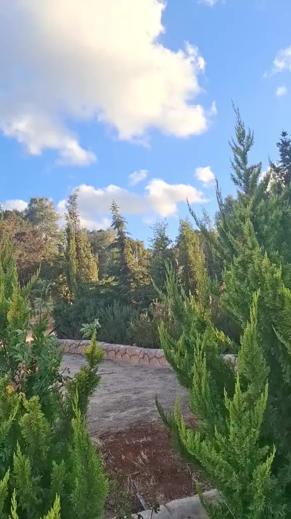 @الكاسح بن مسكين