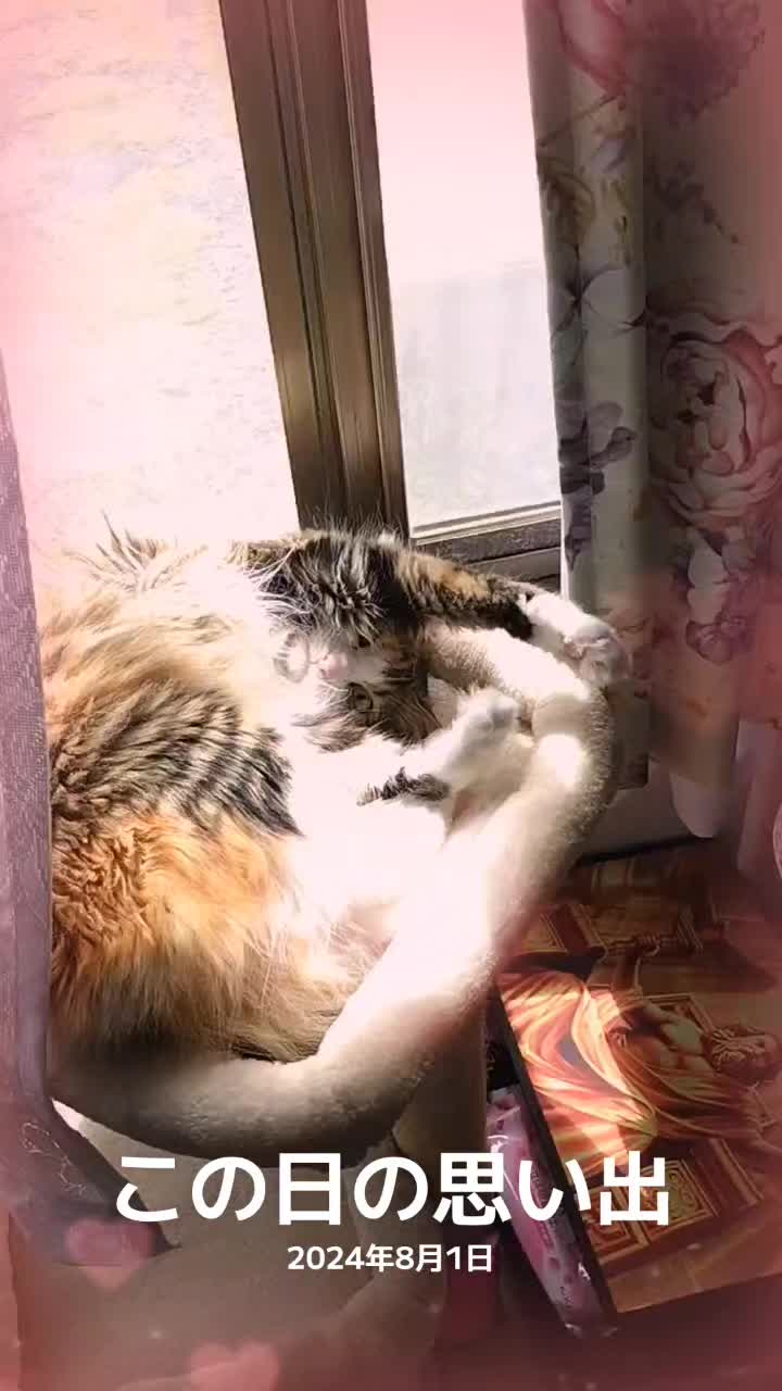 @ぽんずママ