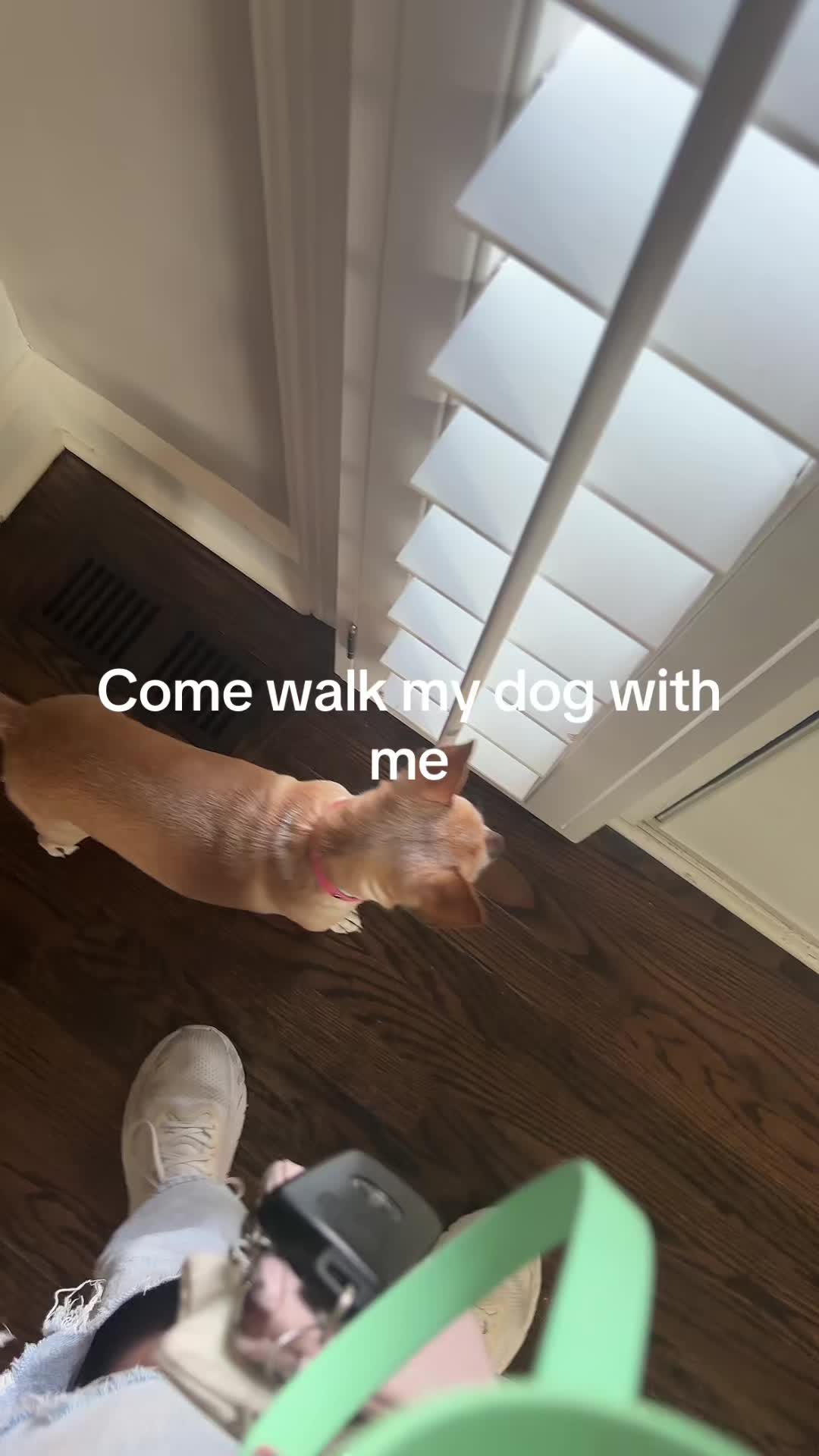 @Gidget/WagWild