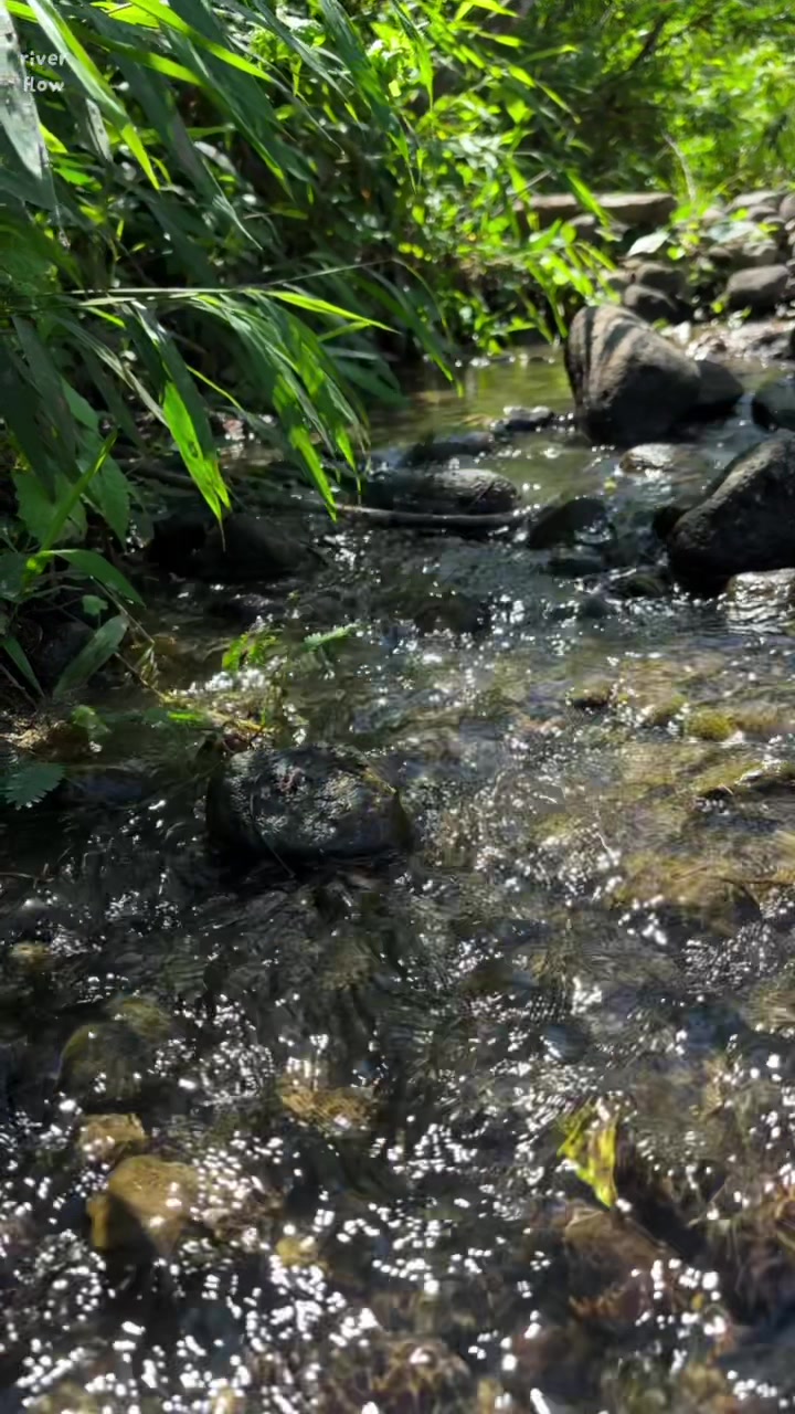 @River Flow