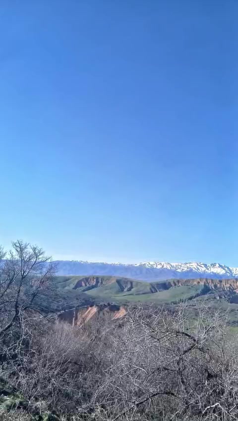 @BAXROM8500