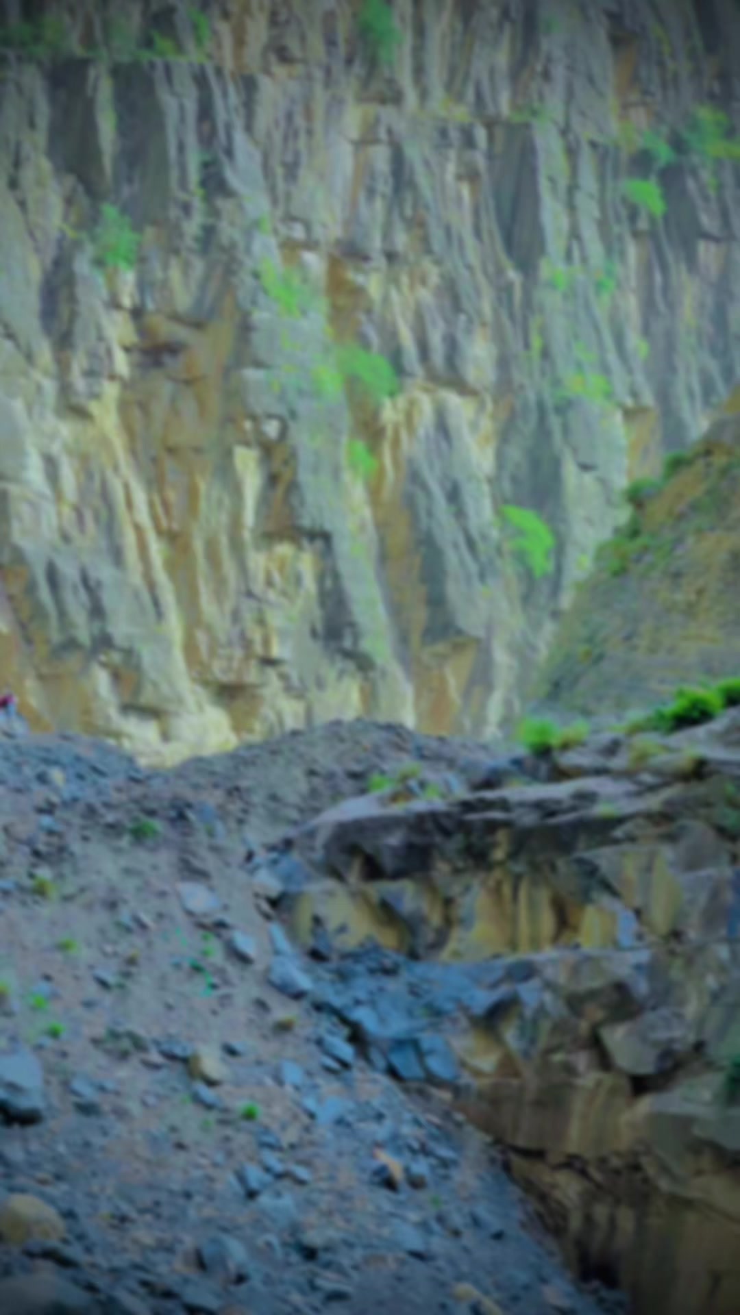 @A H Shera Sherani
