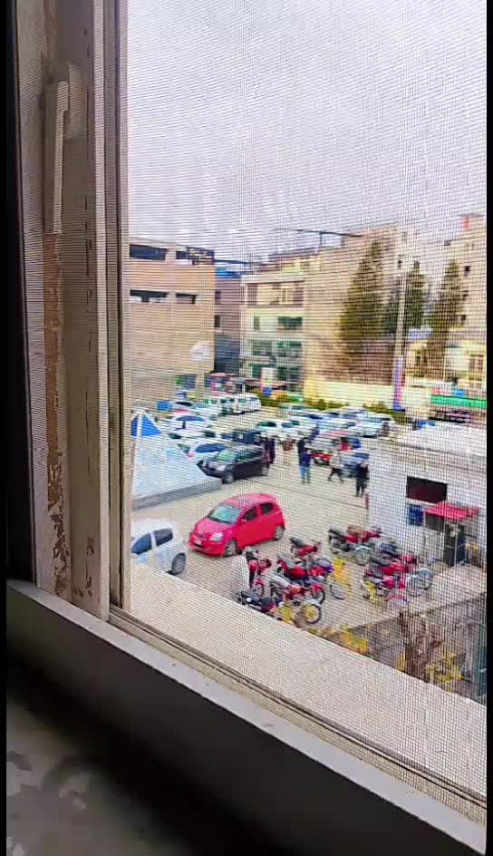 @yasararafat571