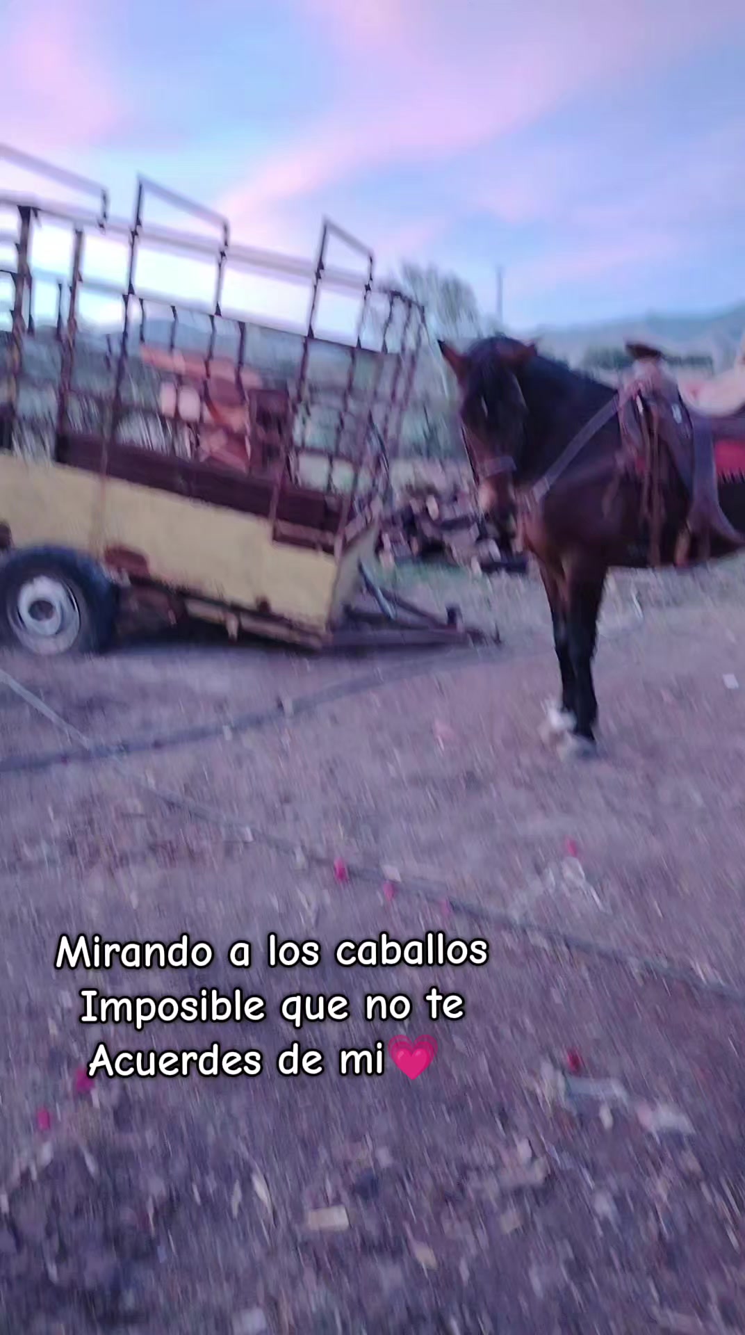 @💗🐎Tu vaquerita🐎💗