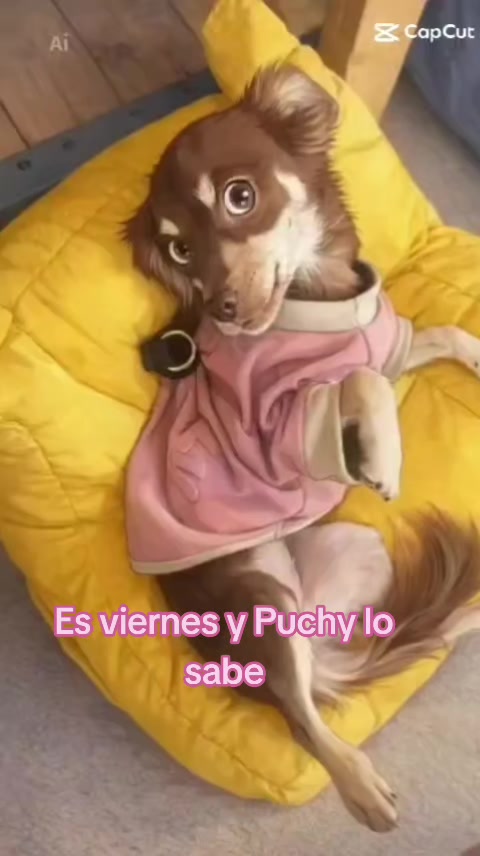 @Marrucucu
