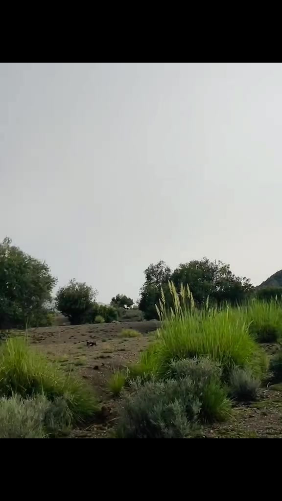@SaMi