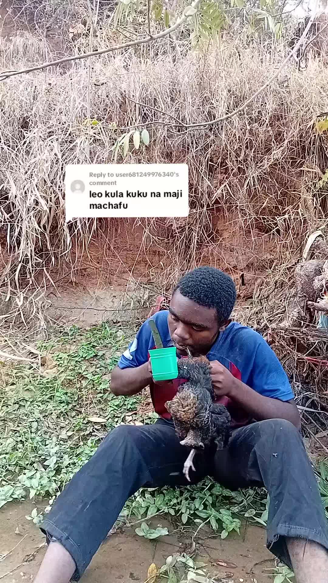 @jalizö