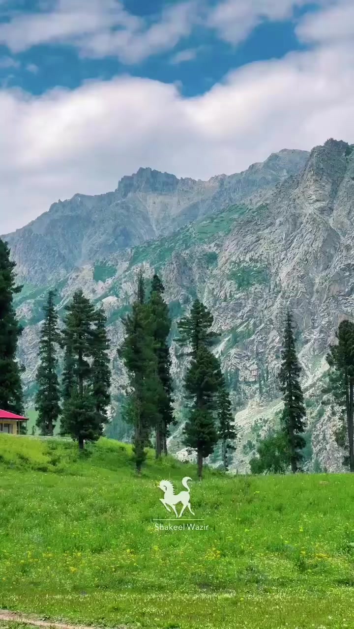 @Shakeel Wazir